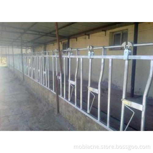 Customized Dairy Farm Cow Head Lock For Weaning / Lactating
